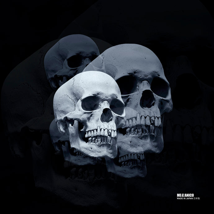 Paliacate Made In Japan Skull Dimension