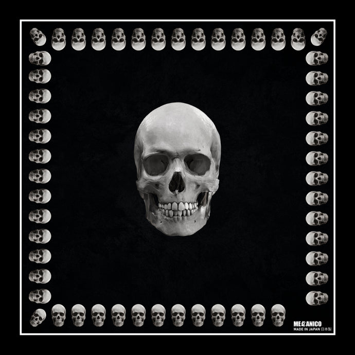 PALIACATE MADE IN JAPAN SKULL FRONT BORDER