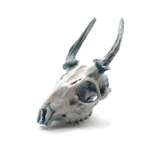 Cargar imagen en el visor de la galería, Cráneo Decorativo Deer
