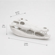 Cargar imagen en el visor de la galería, Cráneo Decorativo Crocodrile