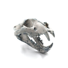 Cargar imagen en el visor de la galería, Cráneo Decorativo Jaguar
