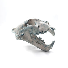 Cargar imagen en el visor de la galería, Cráneo Decorativo Jaguar