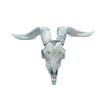 Cargar imagen en el visor de la galería, Cráneo Decorativo Goat