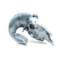 Cargar imagen en el visor de la galería, Cráneo Decorativo Bighorn Sheep