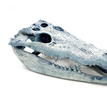 Cargar imagen en el visor de la galería, Cráneo Decorativo Crocodrile