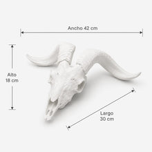 Cargar imagen en el visor de la galería, Cráneo Decorativo Goat