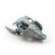 Cargar imagen en el visor de la galería, Cráneo Decorativo Deer