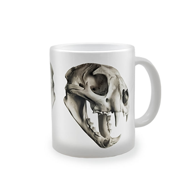 TAZA LION SKULL