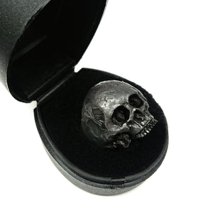 ANILLO CRÁNEO SIN MANDIBULA PAVONADO