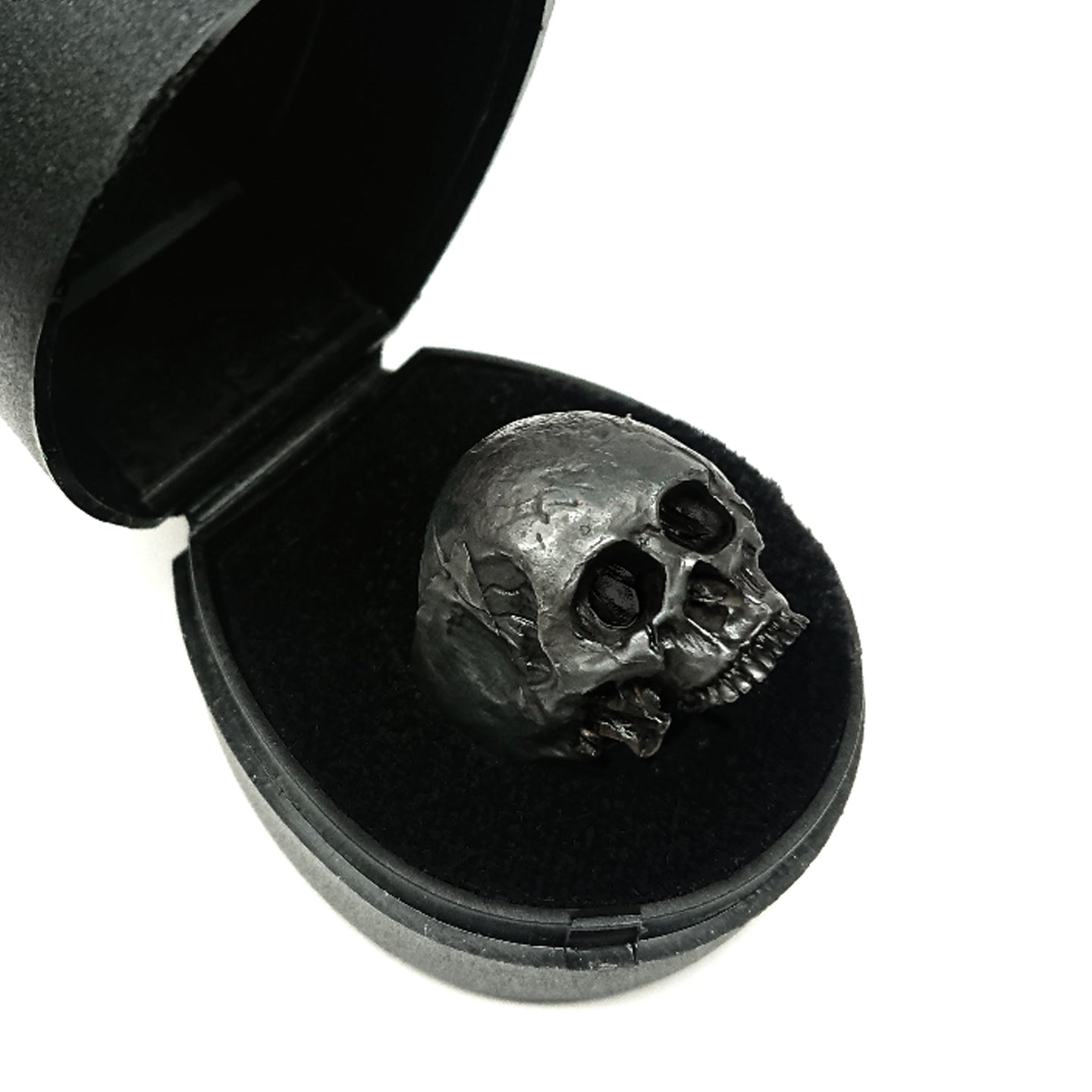ANILLO CRÁNEO SIN MANDIBULA PAVONADO