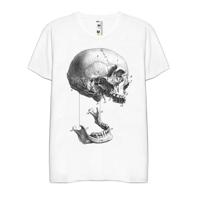 Camiseta Hombre Jaw
