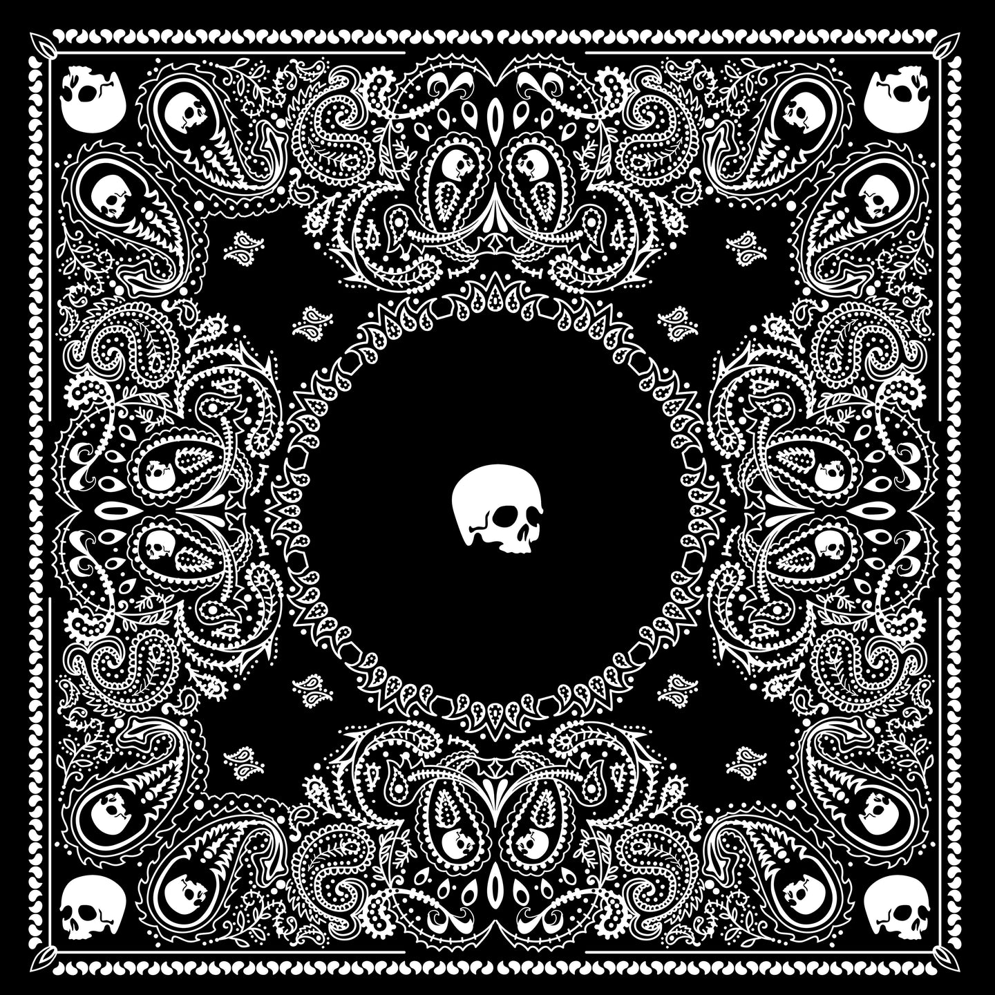 Paliacate Skull Center